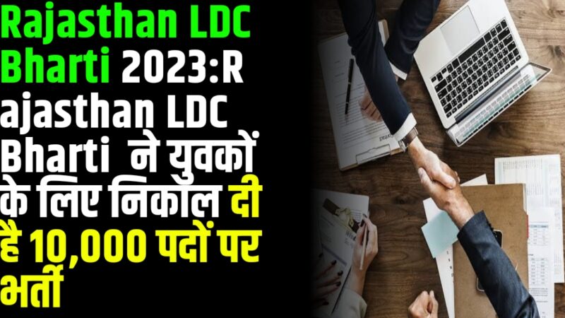 Rajasthan LDC Bharti 2023:Rajasthan LDC Bharti  ने युवकों के लिए निकाल दी है 10000 पदों पर भर्ती 