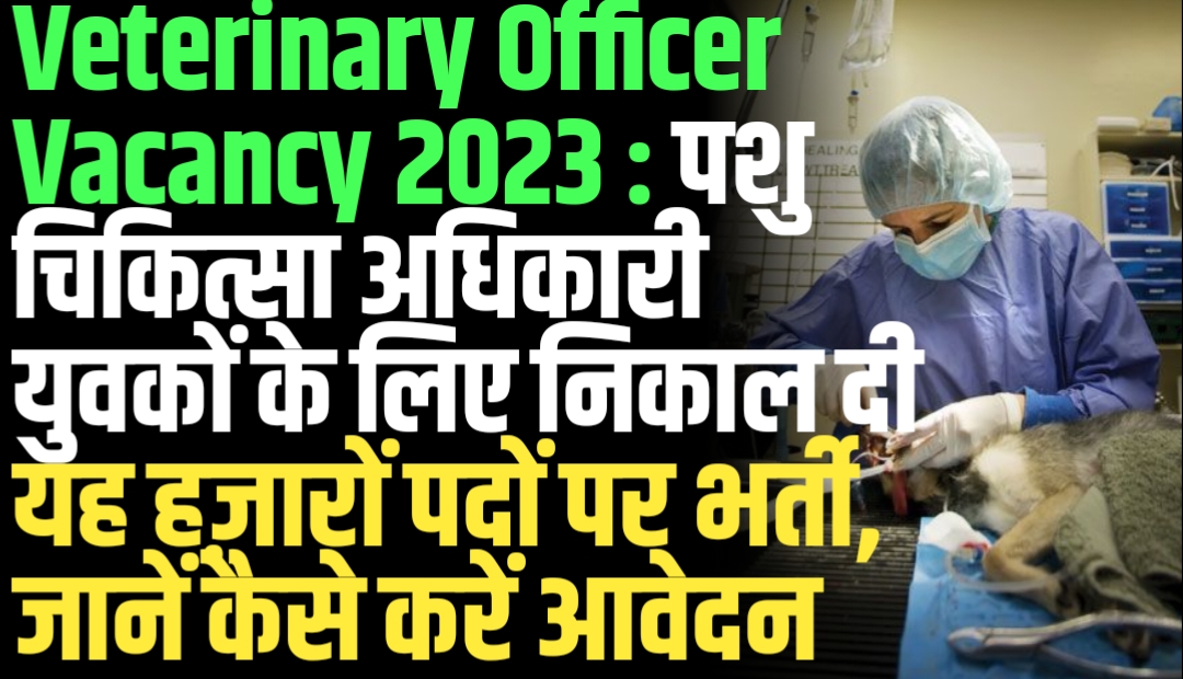 Veterinary Officer Vacancy 2023 : पशु चिकित्सा अधिकारी युवकों के लिए निकाल दी यह हज़ारों पदों पर भर्ती, जानें कैसे करें आवेदन